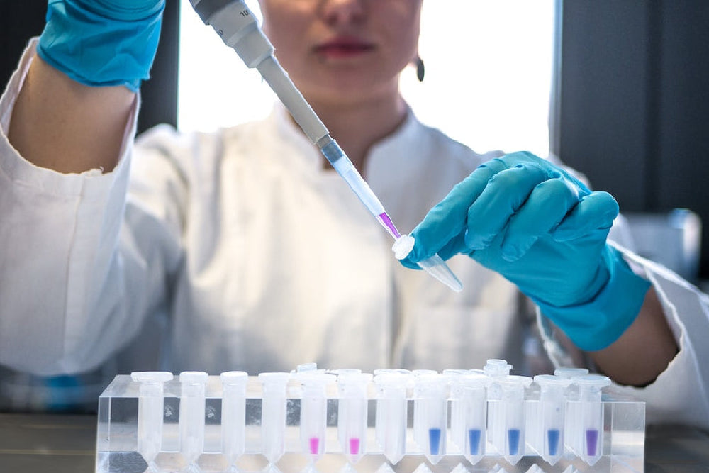 Lab technician wearing teal gloves using a pipette to transfer purple liquid into a row of clear microcentrifuge tubes.