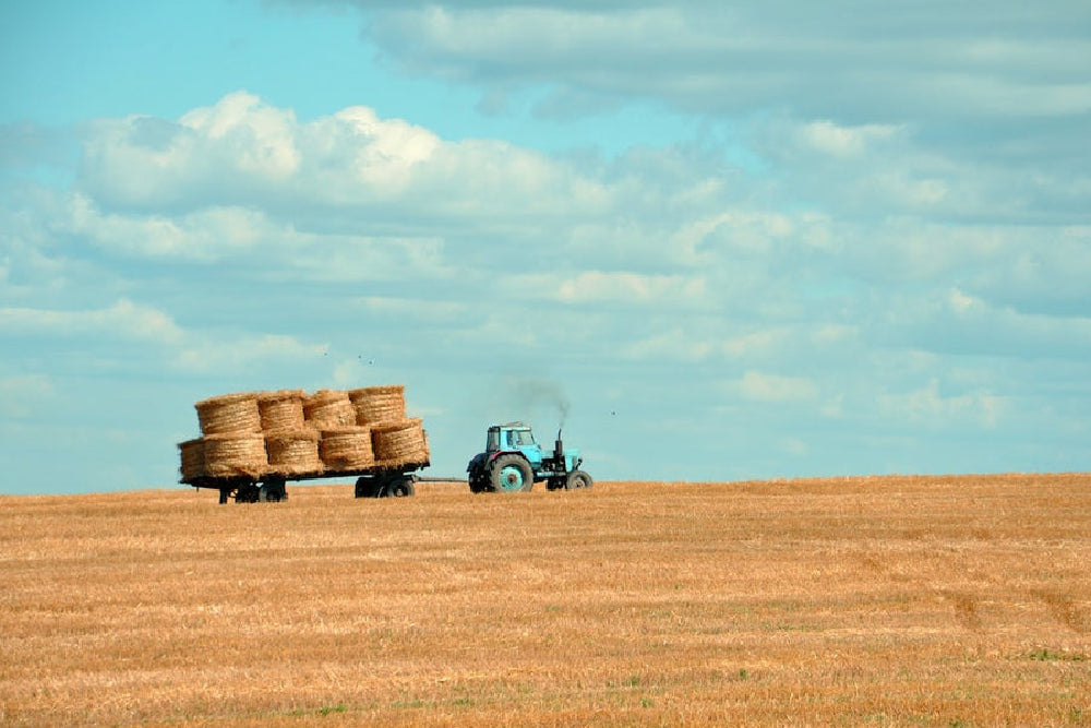 Blue tractor towing a flat trailer stacked with round hay bales across a harvested golden field under a partly cloudy sky.