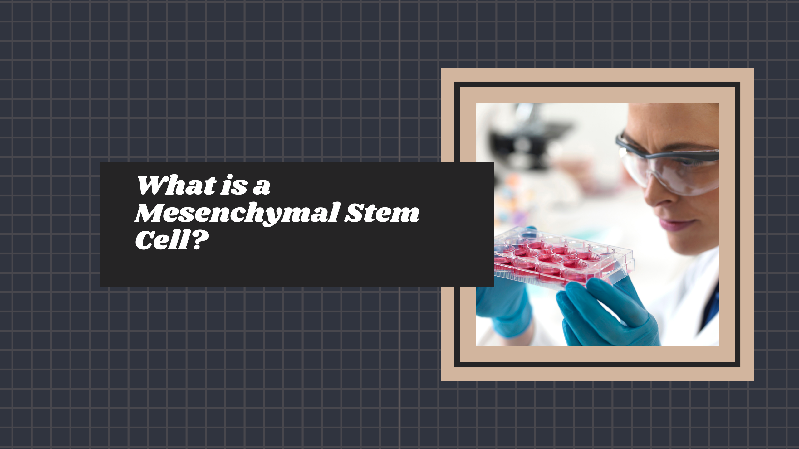 Scientist wearing goggles and gloves holds a multiwell plate; overlaid text: 'What is a Mesenchymal Stem Cell?'