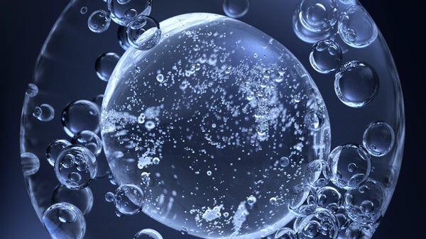 exosome 
