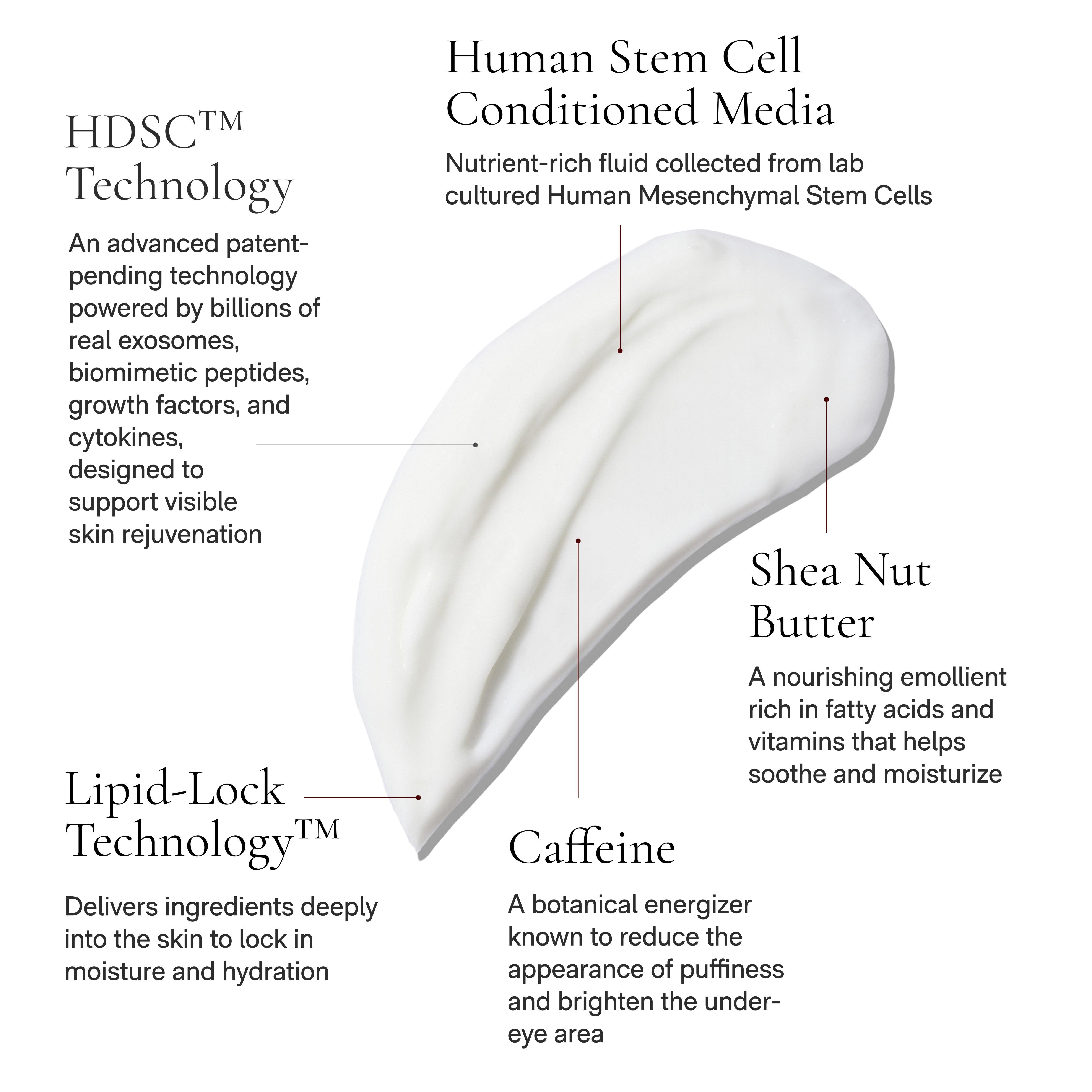 Skincare product with labeled ingredients on a white background